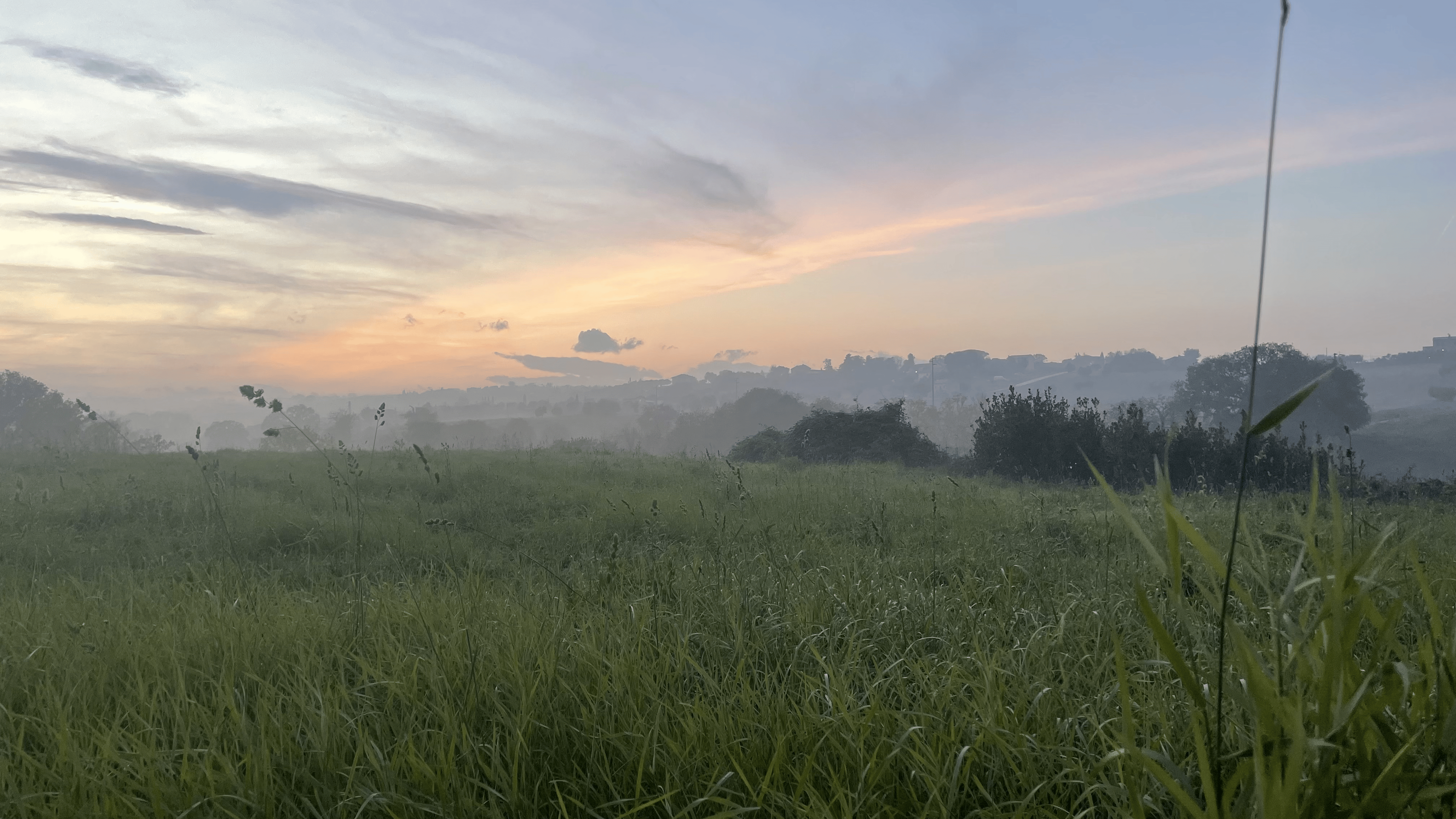 21 Days Without Alcohol - A Short Story of a Big Change