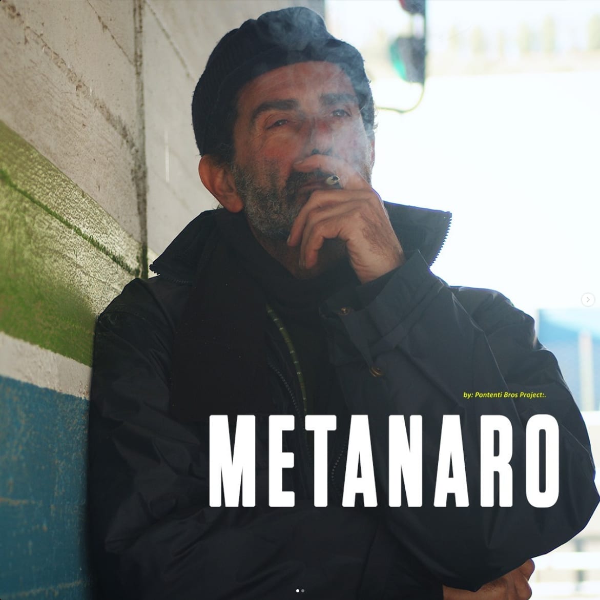 Metanaro